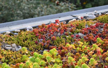 the cost of Ringsfield green roof installation