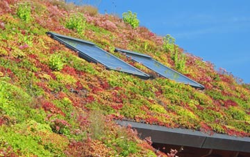 Ringsfield living roof systems