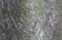 Ringsfield fibreglass roof work